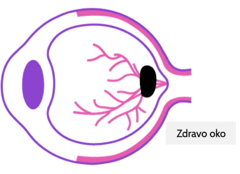 zdravo oko prikaz ilustracije
